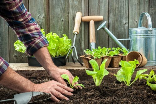 Front garden makeover ideas for a home in Ickenham