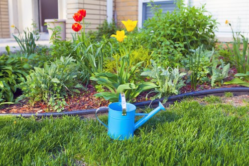 Outdoor lighting options for paths, patios, and planting in an Ickenham garden
