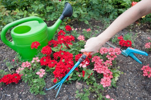 Garden landscaping project planning for an Ickenham home
