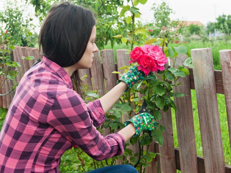 Safe payment confirmation for landscaping project