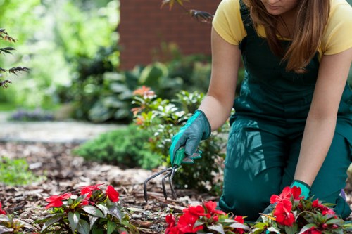 Soakaway and garden drainage work in a residential Ickenham garden