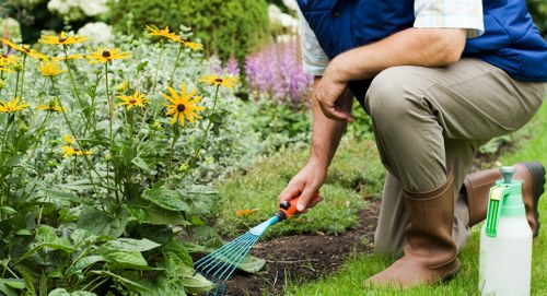 Graphic showing screen-reader friendly landscaping content