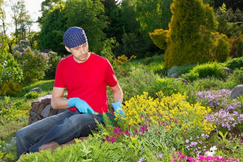 Professional landscaping safety measures in action