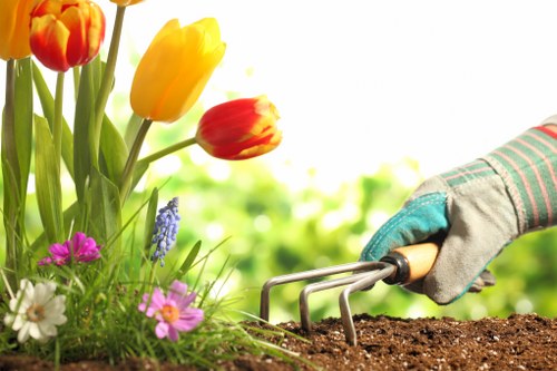 Image symbolizing accessibility request support for local landscaping content