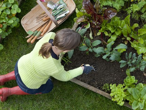 Local garden construction work with paving, edging, and preparation in progress