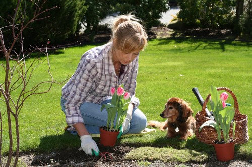 Landscape maintenance work with tools and materials on site